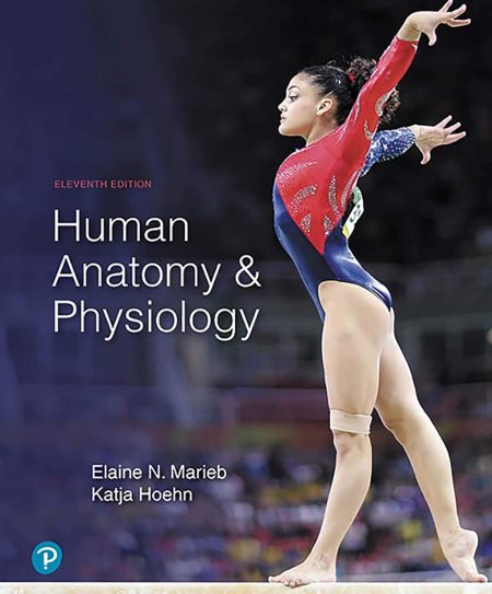 Human Anatomy & Physiology 11th Edition