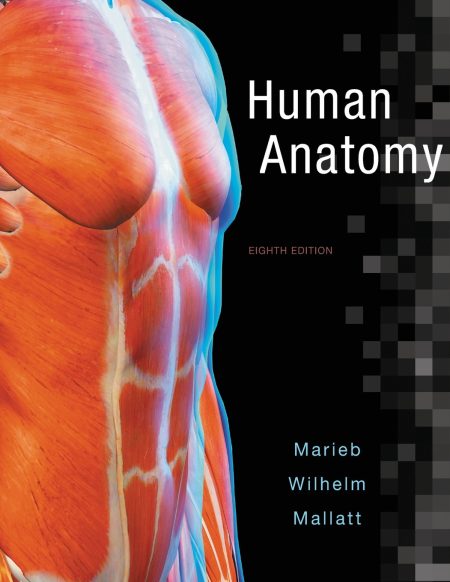 Human Anatomy 8th Edition