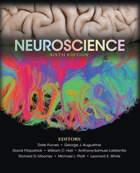 Neuroscience 6th Edition