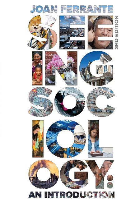 Seeing Sociology: An Introduction 3rd Edition