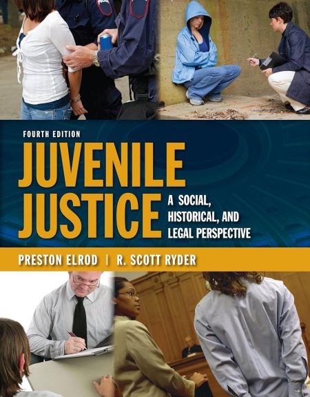 Juvenile Justice: A Social, Historical, and Legal Perspective: A Social, Historical, and Legal Perspective 4th Edition
