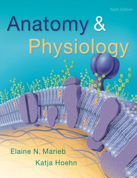 Anatomy & Physiology 6th Edition