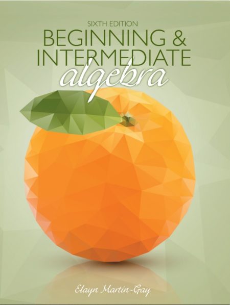 Beginning & Intermediate Algebra 6th Edition