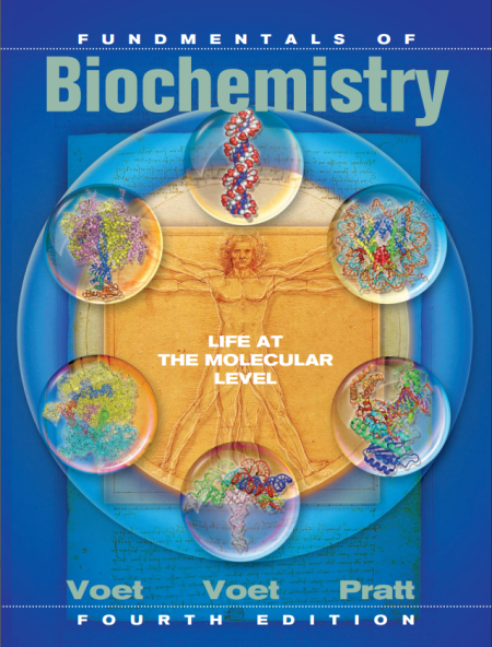Fundamentals of Biochemistry: Life at the Molecular Level 4th Edition