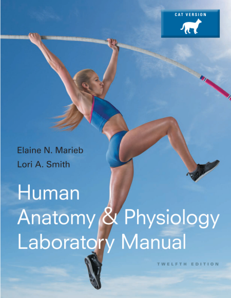 Human Anatomy & Physiology Laboratory Manual, Cat Version 12th Edition