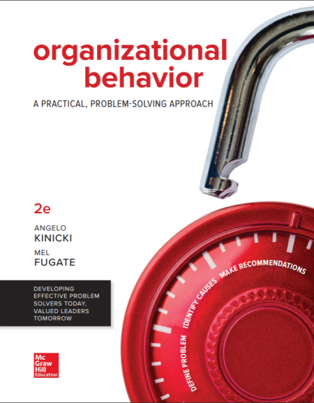 Organizational Behavior: A Practical, Problem-Solving Approach 2nd Edition